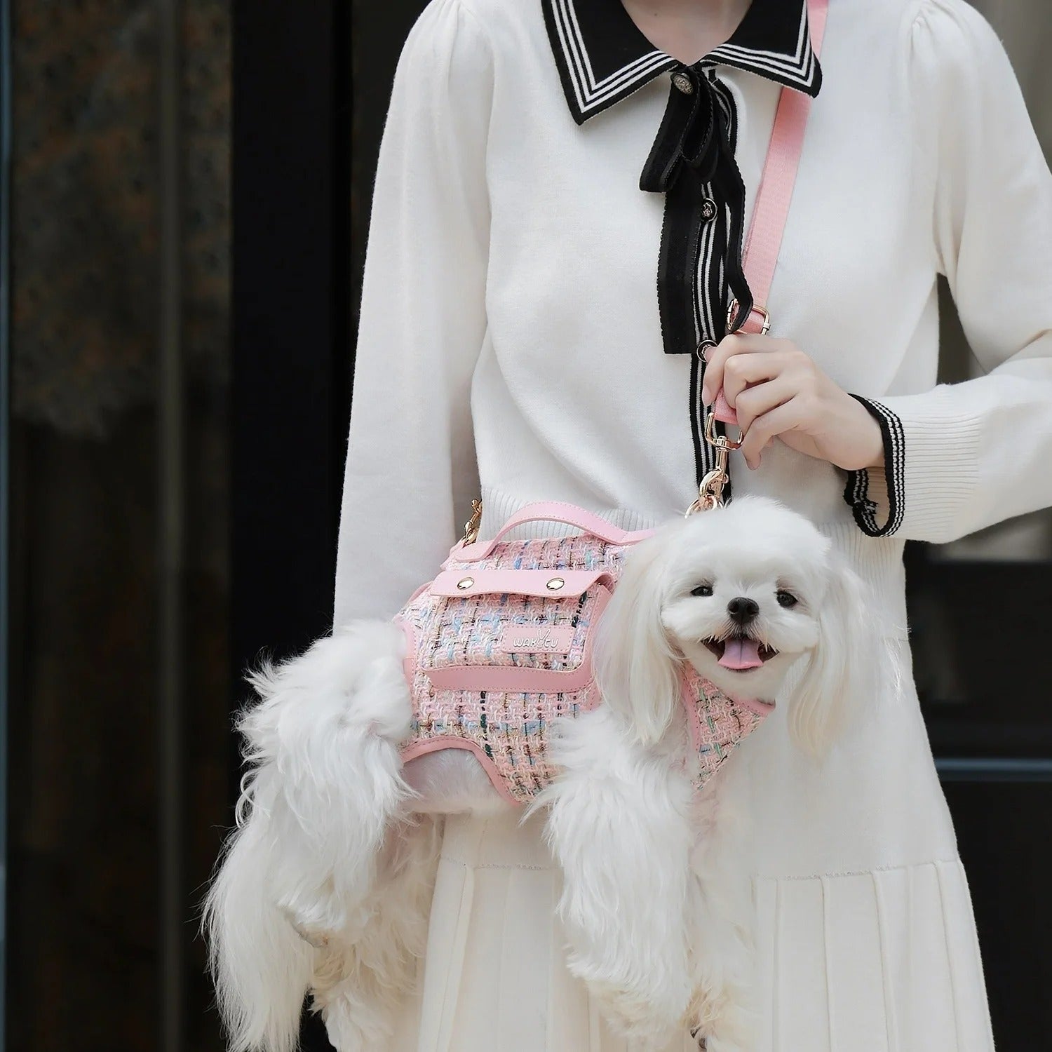 Side Sling Pet Carrier Backpack with Lift Handle – LiftSling™