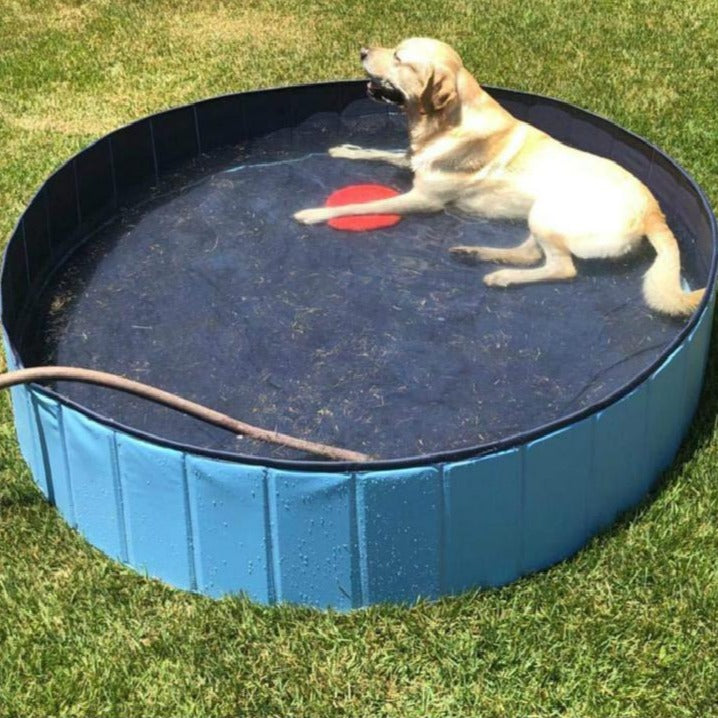 Portable Pet Pool with Reinforced Edges – Splasho™